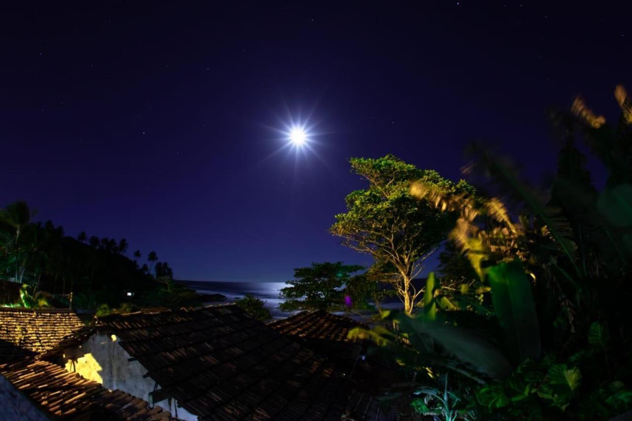 Itacaré Suites Tiririca Guest House المظهر الخارجي الصورة